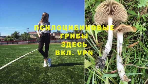 метадон Армянск