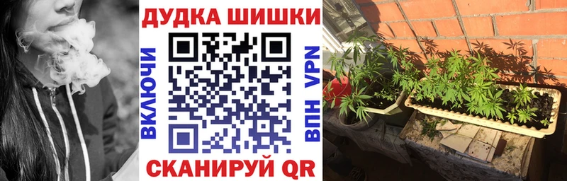Канабис OG Kush  Купить закладки  Котово 